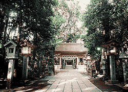 諏訪神社